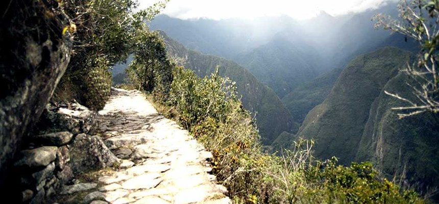 Jungle a Machu Picchu