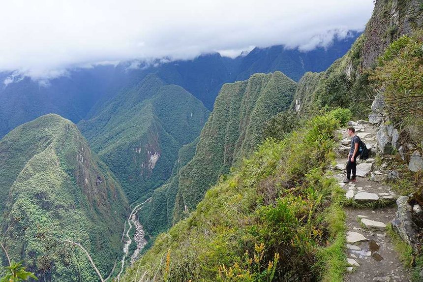 Jungle a Machu Picchu