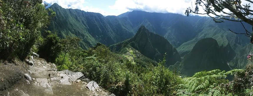 Jungle a Machu Picchu