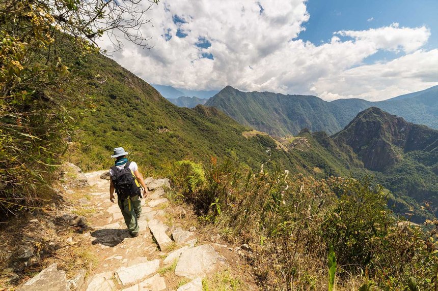 Jungle a Machu Picchu